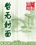 華山氣宗的形意宗師