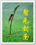 網遊之腹黑王道