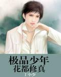 極品少年花都修真
