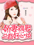嬌妻難娶總裁好心煩