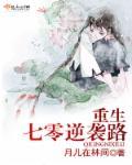 重生七零逆襲路